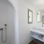 Vista Mykonos 别墅 *