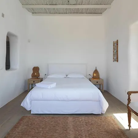 Vista Mykonos Βίλα Τούρλος